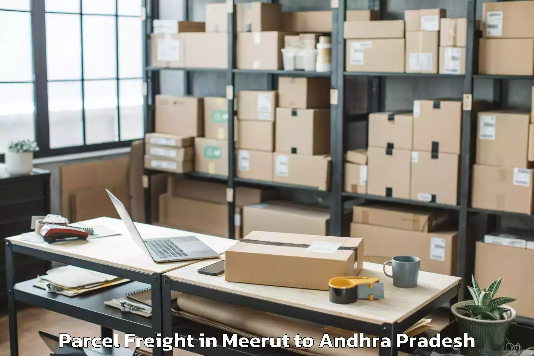 Professional Meerut to Visakhapatnam Port Trust Parcel Freight